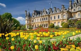 泰希曼队录像 WTA罗马站女单1/4决赛 对战vs卡萨金娜队回放 2022年05月14日 09:46:39比赛视频完整直播回看