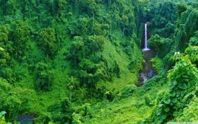 追梦格林大赞姚明：他是让篮球真正流行起来的原因！