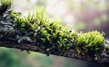 杰克逊-佩奇队录像 斯诺克北爱尔兰公开赛第2轮 对战vs希金斯队回放 2022年10月19日 09:23:07比赛视频完整直播回看