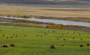 湖人更新对阵黄蜂伤病报告：詹姆斯大概率出战 浓眉等三人缺席