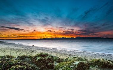 高管：勇士应打包怀斯曼库明加/穆迪+追梦 换西亚卡姆+其他资产