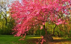 巴里-霍金斯队录像 斯诺克北爱尔兰公开赛1/4决赛 对战vs吉尔伯特队回放 2023年10月28日 00:48:27比赛视频完整直播回看