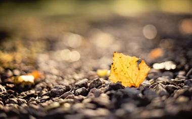 荷兰女排队录像 世界女排联赛泰国站 对战vs日本女排队回放 2023年06月30日 18:00比赛视频完整直播回看