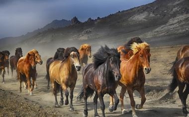 连胜的篮网回到冠军行列了吗?杨毅与霍楠针锋相对,你怎幺看?