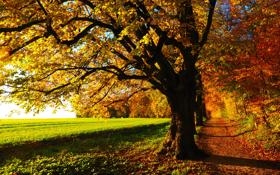 用篮球入网声投出圣诞歌!NBA最具创意的圣诞节宣传片,你还记得吗? #NBA圣诞大战 #NBA创作营 #篮球