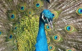 拉斯帕尔马斯队录像 西甲第1轮 对战vs马洛卡队回放 2023年08月13日 01:30比赛视频完整直播回看