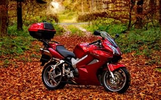 威尼斯队录像 意甲第38轮 对战vs卡利亚里队回放 2022年05月23日 03:00比赛视频完整直播回看