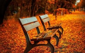 英超-阿尔瓦雷斯世界波黄喜灿制胜 曼城1-2狼队