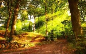 伯恩利队录像 英超第19轮 对战vs纽卡斯尔联队回放 2025年12月31日 03:30比赛视频完整直播回看