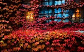 杰米-琼斯队录像 斯诺克英锦赛资格赛 对战vs吴宜泽队回放 2022年11月09日 08:14:43比赛视频完整直播回看