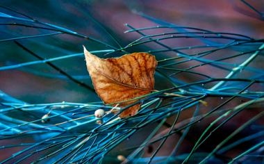 阿尔特塔：踢曼城就是面对世上最佳球队 希望热苏斯几周内回归