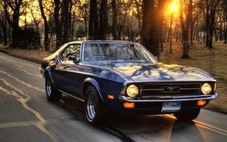 值得9分❓ 戈登一飞冲天
</dd> <div class=