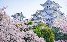 RB莱比锡队录像 欧冠小组赛G组 对战vs贝尔格莱德红星队回放 2023年10月26日 03:00比赛视频完整直播回看